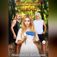 . Второй шанс