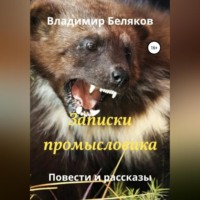 . Записки промысловика. Повести и рассказы