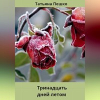 . Тринадцать дней летом