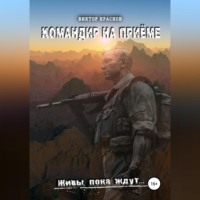 . Командир на приёме