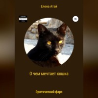 . О чем мечтает кошка. Эротический фарс