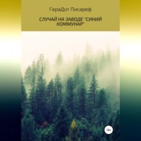 . Случай на заводе «Синий коммунар»
