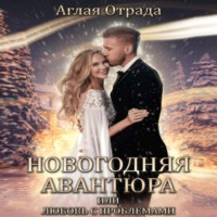 . Новогодняя авантюра, или Любовь с проблемами