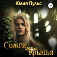 Юлия Пульс. Сожги мои крылья