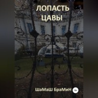 . Лопасть цавы