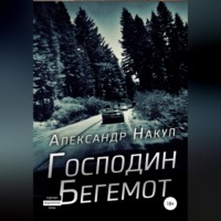. Господин Бегемот