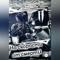 . На скорости от смерти