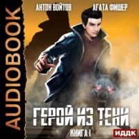 . Герой из тени. Книга 1