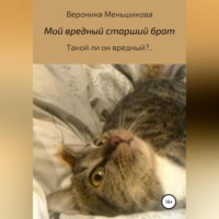 . Мой вредный старший брат