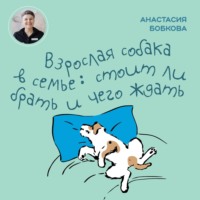Анастасия Бобкова. Взрослая собака в семье: стоит ли брать и чего ждать