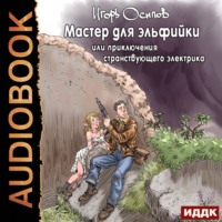. Мастер для эльфийки, или приключения странствующего электрика