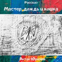 . Мастер, дождь и кошка