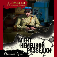 . Агент немецкой разведки