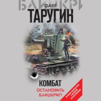 . Комбат. Остановить блицкриг! (сборник)