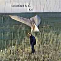 . Кит