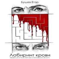 Егор Бушев. Лабиринт Крови