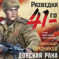 Александр Тамоников. Донская рана