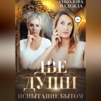 . Две души. Испытания бытом