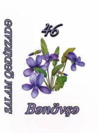 . 46 bənövşə
