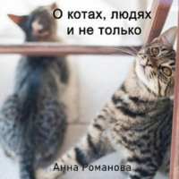 . О котах, людях и не только
