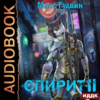 . СПИРИТ. Книга 2