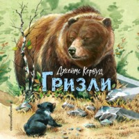 . Гризли
