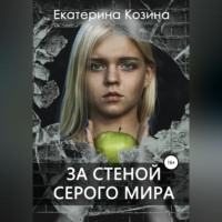 . За стеной серого мира