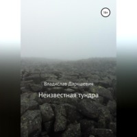 . Неизвестная тундра
