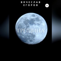Вячеслав Анатольевич Егоров. Трещина