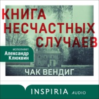 . Книга несчастных случаев