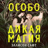 . Особо дикая магия