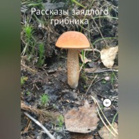 Анна Николаевна Цыбульник. Рассказы заядлого грибника