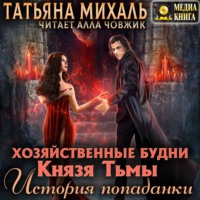 Татьяна Михаль. Хозяйственные будни Князя Тьмы. История попаданки. Книга 1