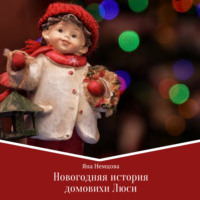 . Новогодняя история домовихи Люси
