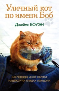. Уличный кот по имени Боб. Как человек и кот обрели надежду на улицах Лондона