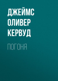 . Погоня