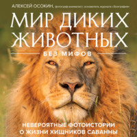 Алексей Осокин. Мир диких животных без мифов. Невероятные фото-истории о жизни хищников саванны