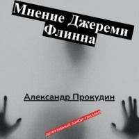 . Мнение Джереми Флинна