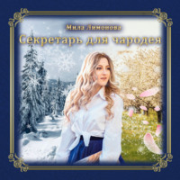 . Секретарь для чародея