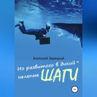 . Из развитого в дикий – нелепые ШАГИ
