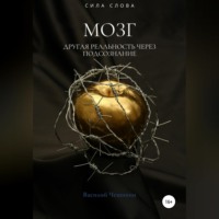 . Мозг