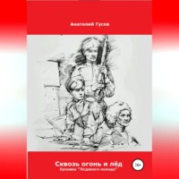 . Сквозь огонь и лёд. Хроника «Ледяного похода»
