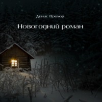 Денис Викторович Прохор. Новогодний роман