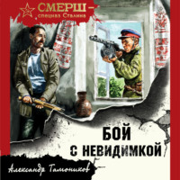 Александр Тамоников. Бой с невидимкой
