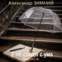 . Я не сошел с ума