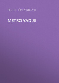 Elçin Hüseynbəyli. Metro vadisi