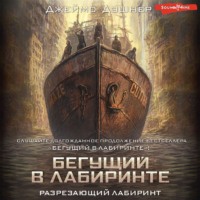 . Разрезающий лабиринт