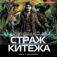 Евгений Нетт. Страж Китежа