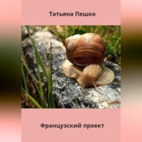 . Французский проект