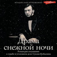 . Драма снежной ночи. Роман-расследование о судьбе и уголовном деле Сухово-Кобылина